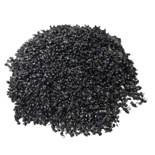 广西桂林500g克包邮黑蚂蚁