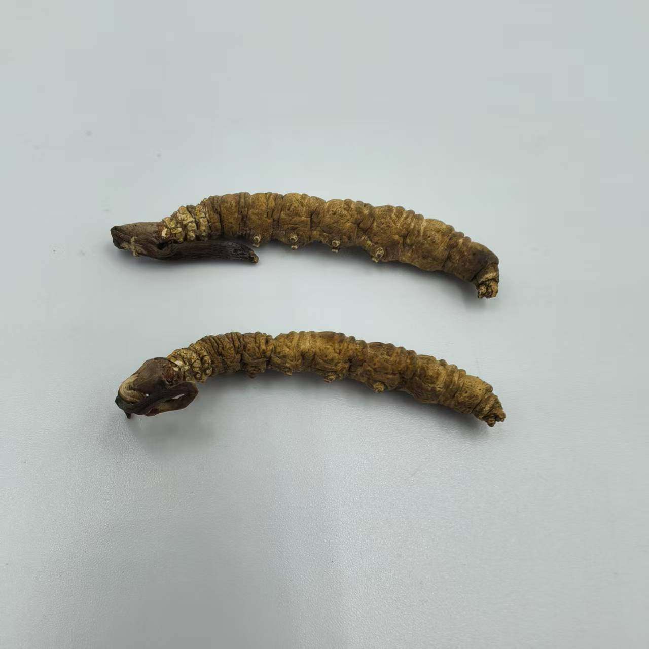 冬虫夏草 正品虫草 冬虫草 西藏那曲 2条1g包邮 中药材