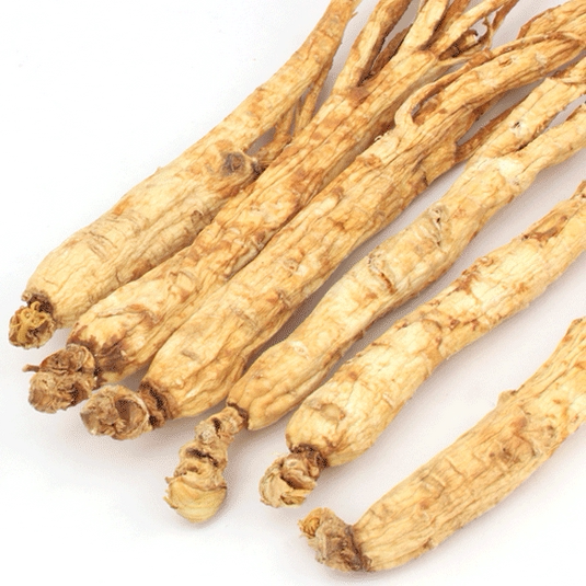 白参 1根/25元包邮 白人参 吉林长白山人参 生晒参根 8年根中药材