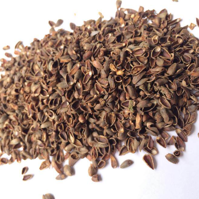 柏子仁壳 5斤包邮 壳柏子仁  柏子仁 中药材市场供应 500g克9元