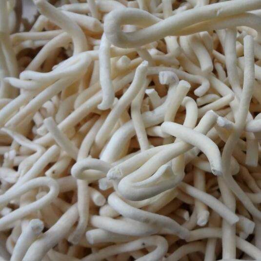 小通草 小通草 乳通草 通草通奶 野生中药材供应 500g克包邮