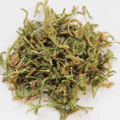 伸筋草 拍3斤包邮 大顺筋藤 大伸筋 500g克 中药材供应