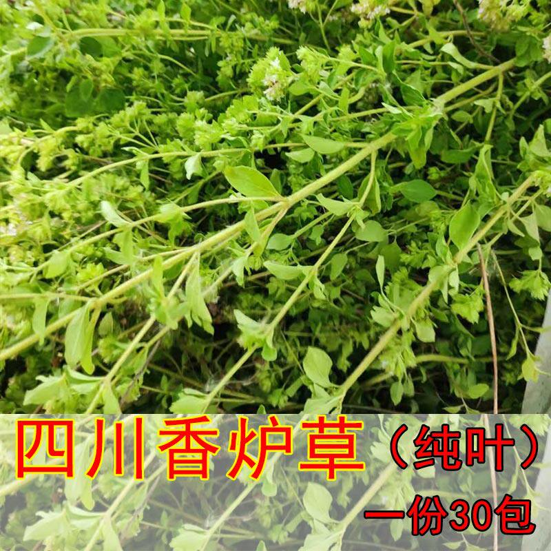 四川南充香炉草 香浓草 香笼茶 香茹草 香薷草 香龙草 纯叶茶叶包