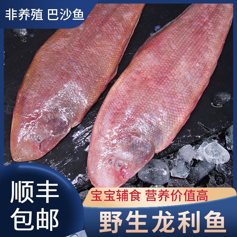 舟山海鲜水产新鲜玉秃鱼比目鱼舌鳎踏板鱼舌头鱼龙利鱼3-4条/斤