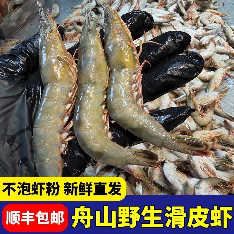舟山野生滑皮虾新鲜硬壳