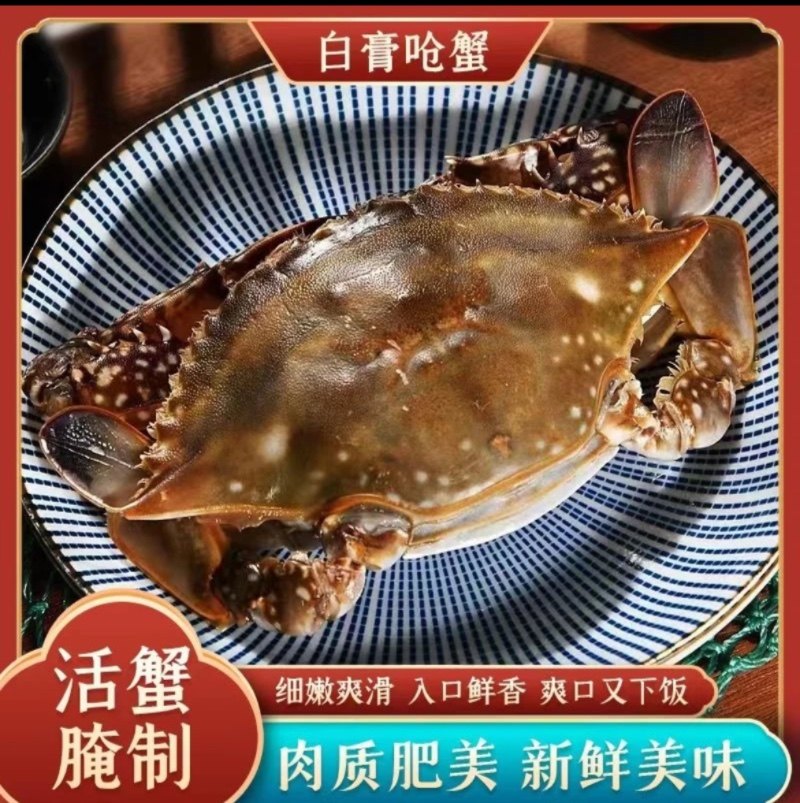 舟山咸呛蟹白膏呛蟹酱蟹醉蟹生腌蟹梭子蟹炝蟹非红膏68元/10只,水产肉类/新鲜蔬果/熟食,蟹类制品,淘宝优惠券,粉丝福利购,淘宝优惠卷