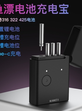 鱼漂316电池充电器夜光漂425电池充电宝夜钓浮漂通用充电电池套装