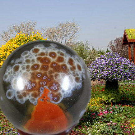 【战国红专营】天然宣化上谷战国红玛瑙精品大圆球36mm 生机勃勃