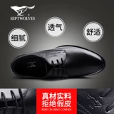 Septwolves, дышащая весенняя повседневная обувь для кожаной обуви, кожаный классический костюм, очень большие туфли, в корейском стиле, из натуральной кожи