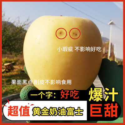 昆嵛山烟台苹果瑕疵果黄金奶油富士5斤新鲜水果栖霞奶油苹果孕妇