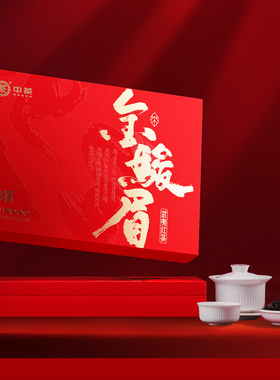 中茶武夷山金骏眉红茶叶礼盒送礼 年货伴手礼品 WJ3000礼盒100g