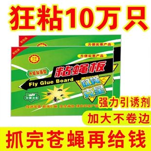 粘蝇纸苍蝇贴强力粘蝇板灭蝇子蚊子杀手克星捕捉器饭店家用一扫光