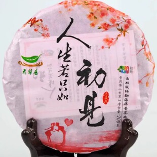 2018年易武百花潭头春老树紧压200g初见普洱七子茶圆饼品味生茶饼