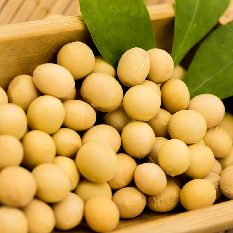 九谷田園の新商品の黄豆の小粒のダイズの320 gはもやしの豆乳の豆の小麦粉を出すことができます。