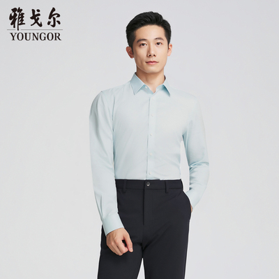 雅戈尔男士长袖衬衫商务休闲免烫衬衫男YLDP115510QJY