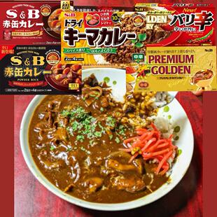 日本直邮SB爱思必香辣咖喱鸡肉饭盖浇饭粉酱调味酱煮煲饭煲汤炒饭