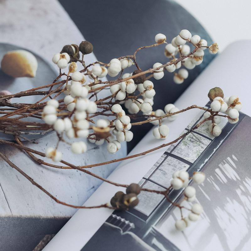 乌桕小白果干花家居装饰花艺手工橱窗花束小清晰尤加利果花束干花