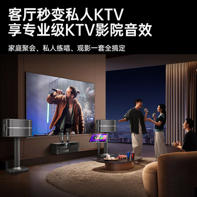 四分频专业家庭KTV/独立效果器