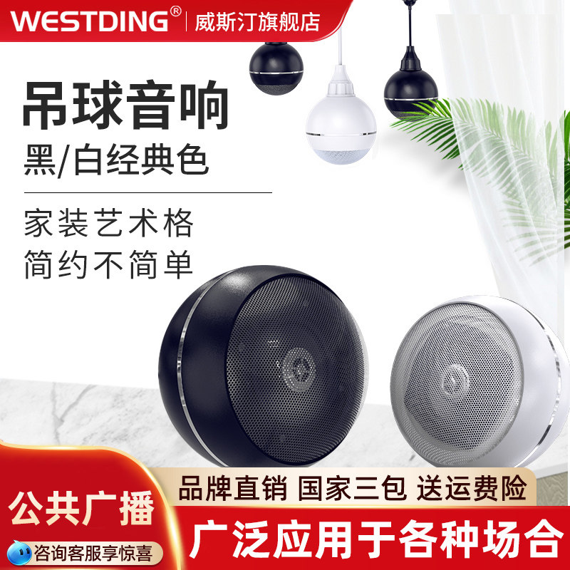 B-08公共广播吊球音响店铺餐厅悬挂式吊顶天花吸顶音箱店背景音乐