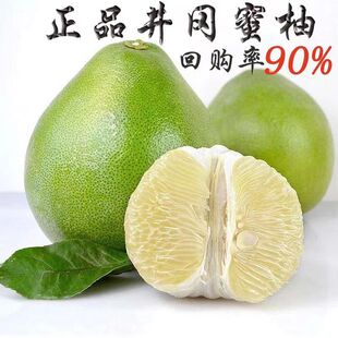 江西金兰柚安福柚子井冈山蜜柚白心冰糖蜜柚甜心雪峰孕妇新鲜水果