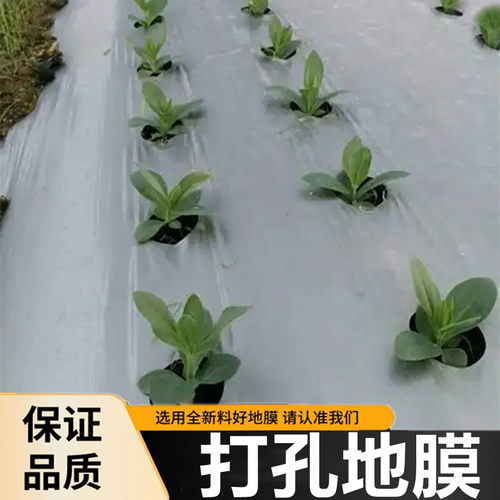 农用打孔地膜蔬菜辣椒瓜果番茄银黑双色有孔带眼开孔防草免开洞膜