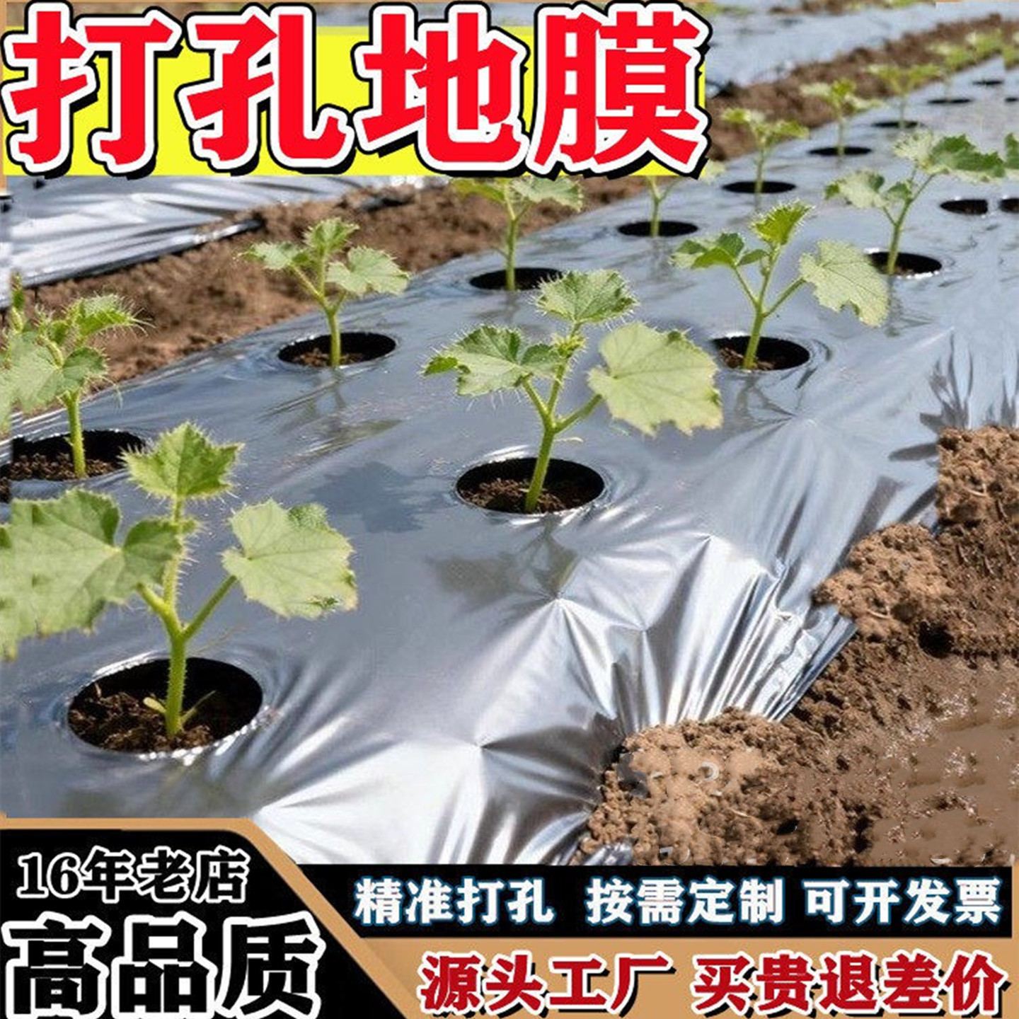 定制打孔地膜带洞眼农用塑料薄膜农用薄膜