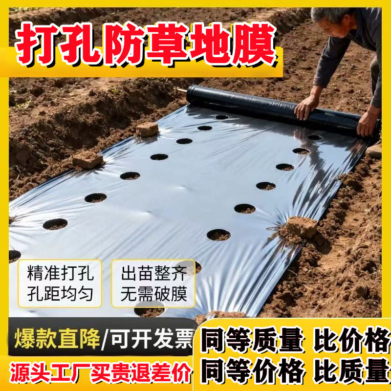 定制带洞眼农用塑料薄膜蔬菜双色打孔地膜银黑地膜草莓辣椒西红柿,农机/农具/农膜,农用薄膜,淘宝优惠券,粉丝福利购,淘宝优惠卷
