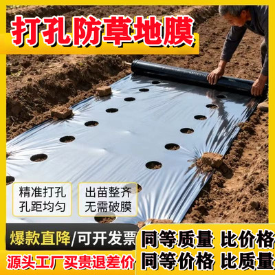 定制带洞眼农用塑料薄膜蔬菜双色打孔地膜银黑地膜草莓辣椒西红柿