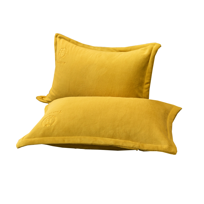 珊瑚绒枕套一对装冬季加厚牛奶绒法兰绒纯色枕头套枕芯套48x74cm