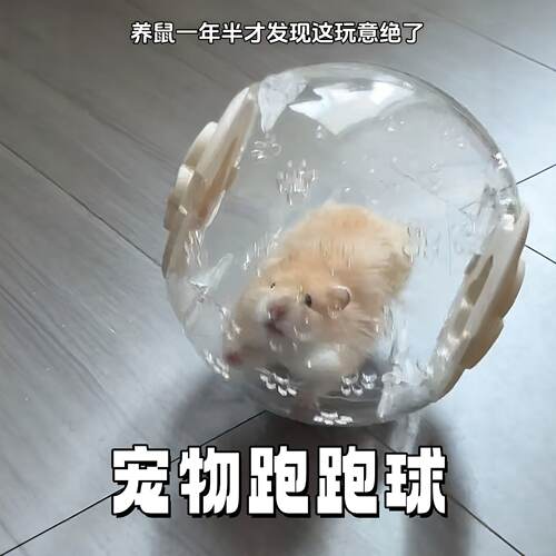 仓鼠跑跑球创意金丝熊透