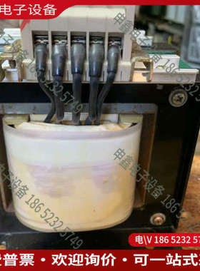 询价：日本进口欧标丰澄220230240V转100V  500