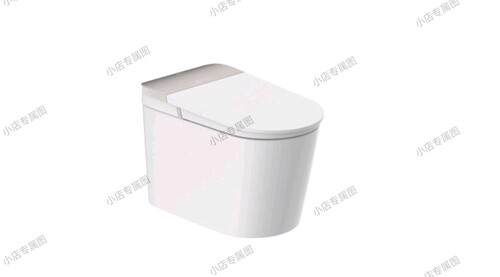 【线下同款】新款九牧智能马桶6450