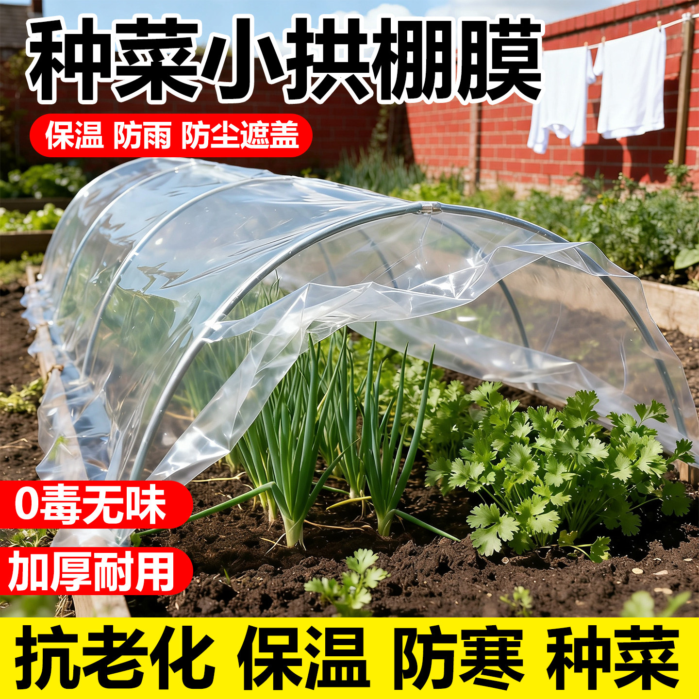 小拱棚种菜专用薄膜透明大棚塑料膜内膜农用种植蔬菜保温防寒地膜,鲜花速递/花卉仿真/绿植园艺,塑料薄膜,淘宝优惠券,粉丝福利购,淘宝优惠卷