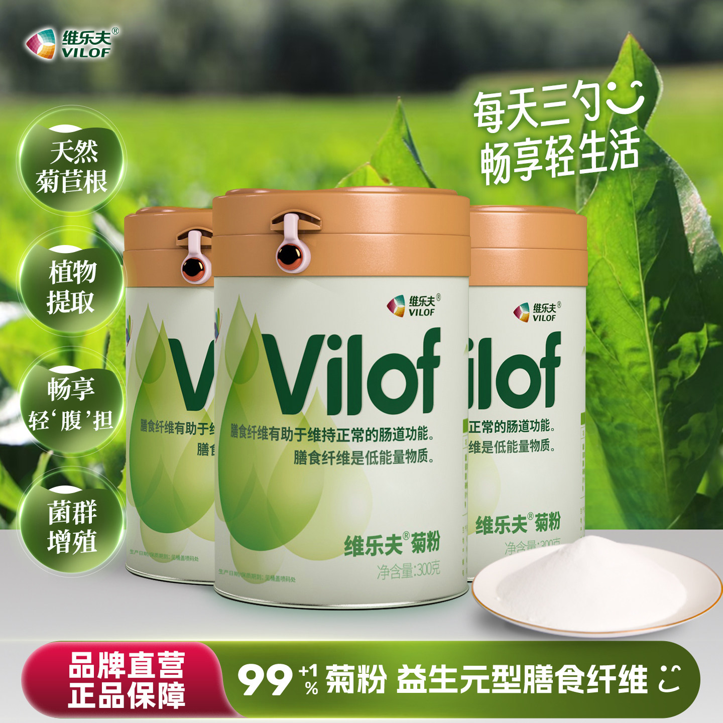 维乐夫菊粉菊苣益生元到手三桶