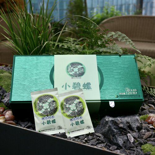 新茶预售明前嫩芽绿茶乌蒙甘露