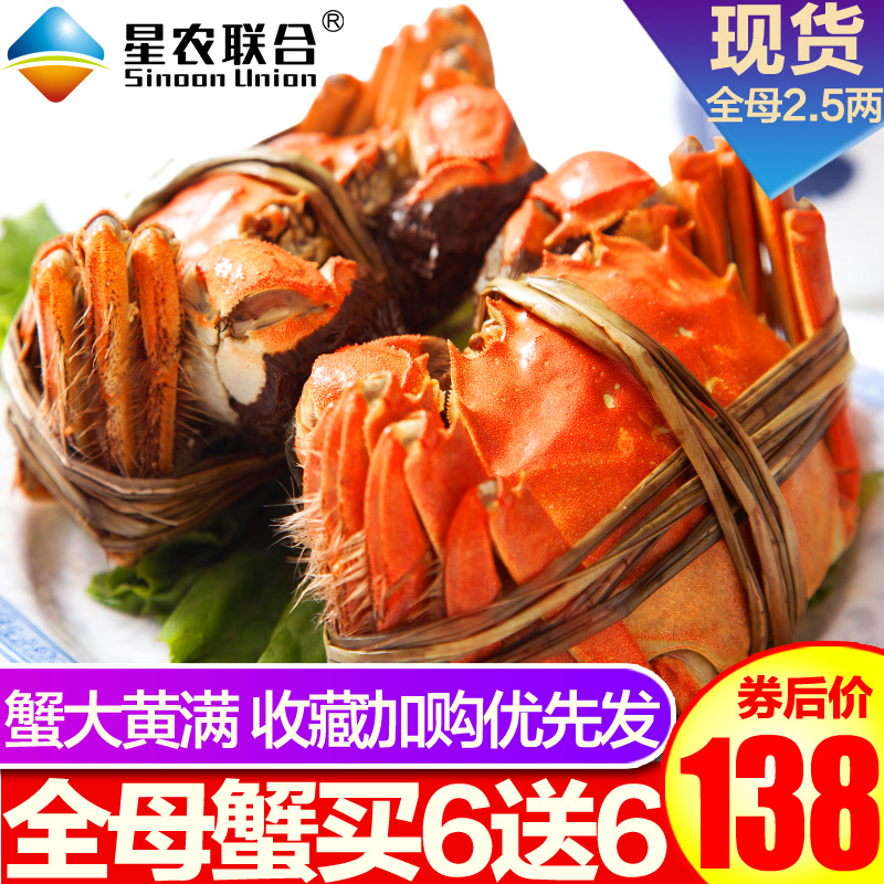 買6送6_星農聯合現貨六月黃大閘蟹鮮活全母蟹2.5兩12只螃蟹禮盒裝