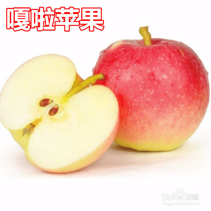 嘎啦苹果树苗南北方庭院地栽特大室内盆栽嫁接矮化果树当年结果