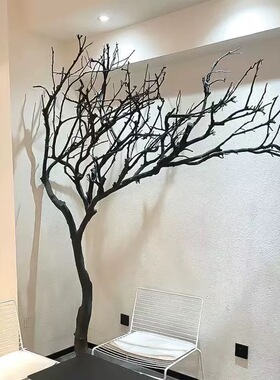 干树枝天然造型造景干枝枯枝许愿树枯树枯木室内景观树枝造型树