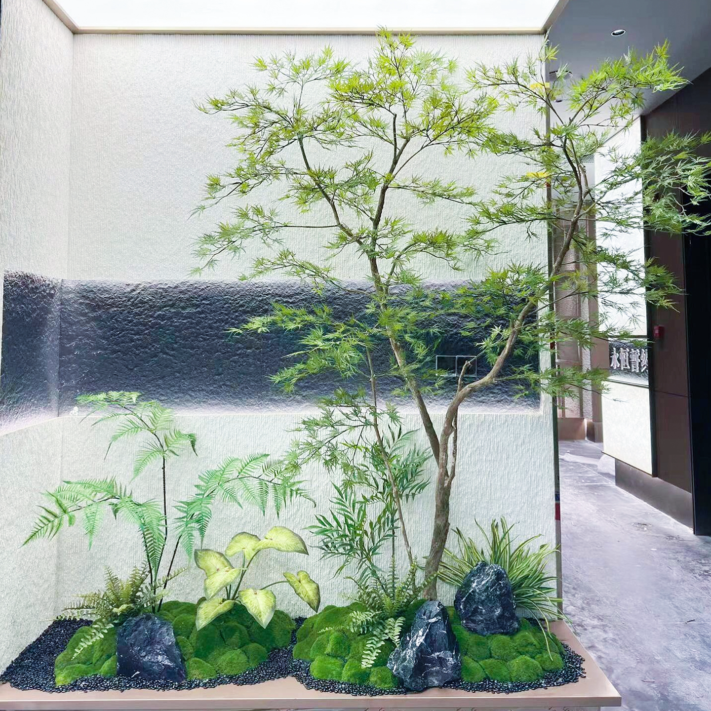 高端会所景观装饰大型落地绿枫树