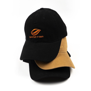 ASLK AVENUE 大道之子2024春夏LUKE联名帽子 SON LOGOCAP