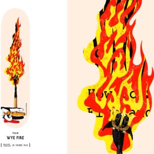 板面专业双翘板面多款 EVISEN 滑板街式 日本进口新款 可选轻薄弹