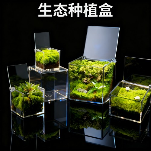 亚克力透明苔藓微景观种植盒