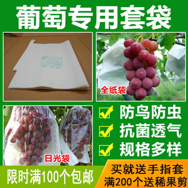 葡萄袋子猕猴桃水果套袋春夏实用果林种植果树防护方便遮光包装育在类目 鲜花速递/花卉仿真/绿植园艺, 园艺用品, 其它园艺用品中 - 来自Buy2taobao.com提供专业的淘宝代购服务