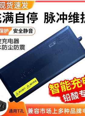 灌胶防水智能脉冲修复铅酸电池