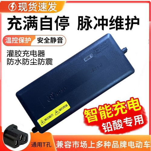 灌胶防水智能脉冲修复铅酸电池