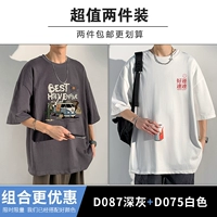 D087 Deep Grey+D075 White