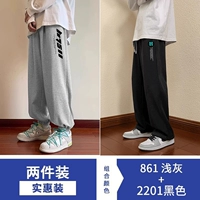 861 светло -серый+2201 черный