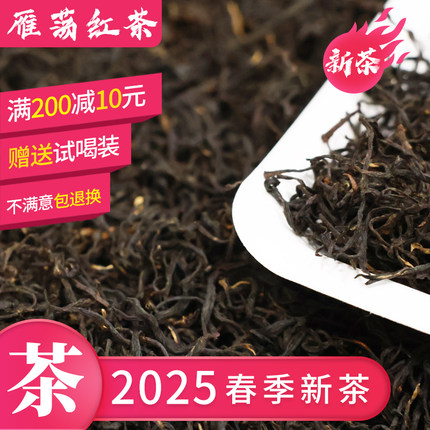 2026年雁荡红茶毛峰茶叶125g浓香乐清红茶本地特产春茶温州红茶