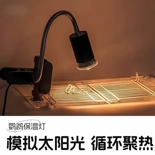 鹦鹉保温灯过冬鹦鹉取暖灯育雏保温灯取暖器宠物保温灯照明取暖灯