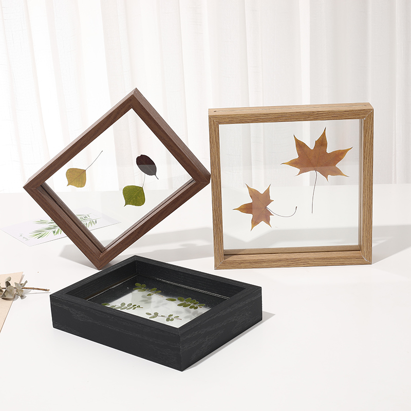植物标本5678昆虫相框摆台